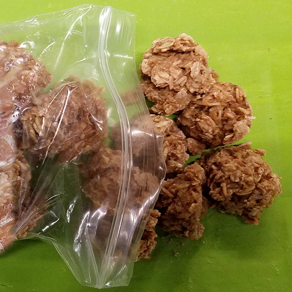Oat Horse Treats